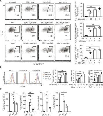 The Mycotoxin Beauvericin Exhibits Immunostimulatory Effects on Dendritic Cells via Activating the TLR4 Signaling Pathway